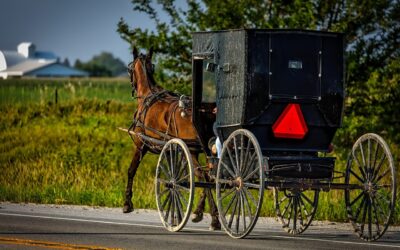 How the Amish ignored the government and defeated Covid